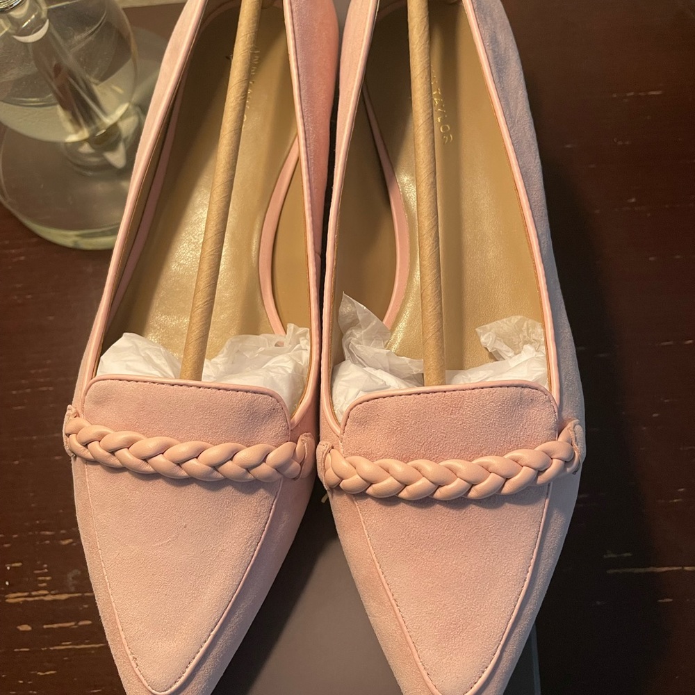 Ann Taylor Suede Flat